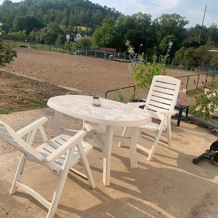 Ubytovani V Apartmanu, 2 Loznice, Na Farme Bzany Εξωτερικό φωτογραφία