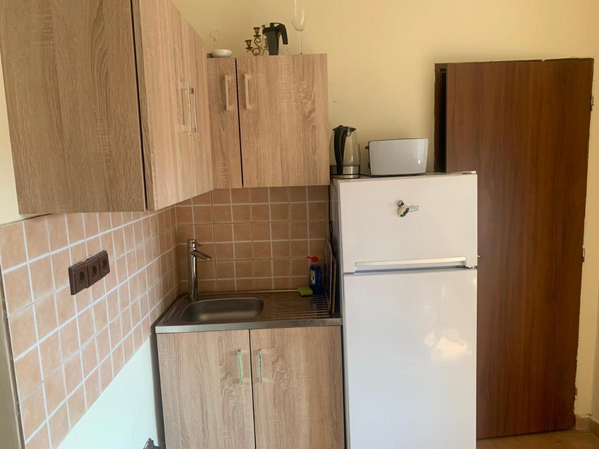 Ubytovani V Apartmanu, 2 Loznice, Na Farme Bzany Εξωτερικό φωτογραφία